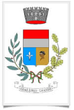 Storia e descrizione dello stemma comunale