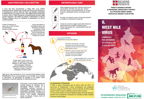 Il West Nile Virus - Conoscilo per difendere te stesso e chi ti sta accanto